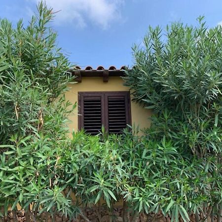 Villa Maveda, Un Dammuso Immerso Nel Verde Лампедуза Екстериор снимка