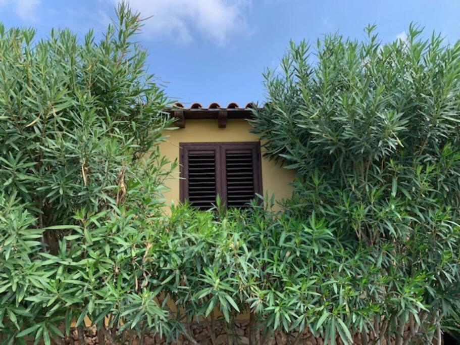 Villa Maveda, Un Dammuso Immerso Nel Verde Лампедуза Екстериор снимка