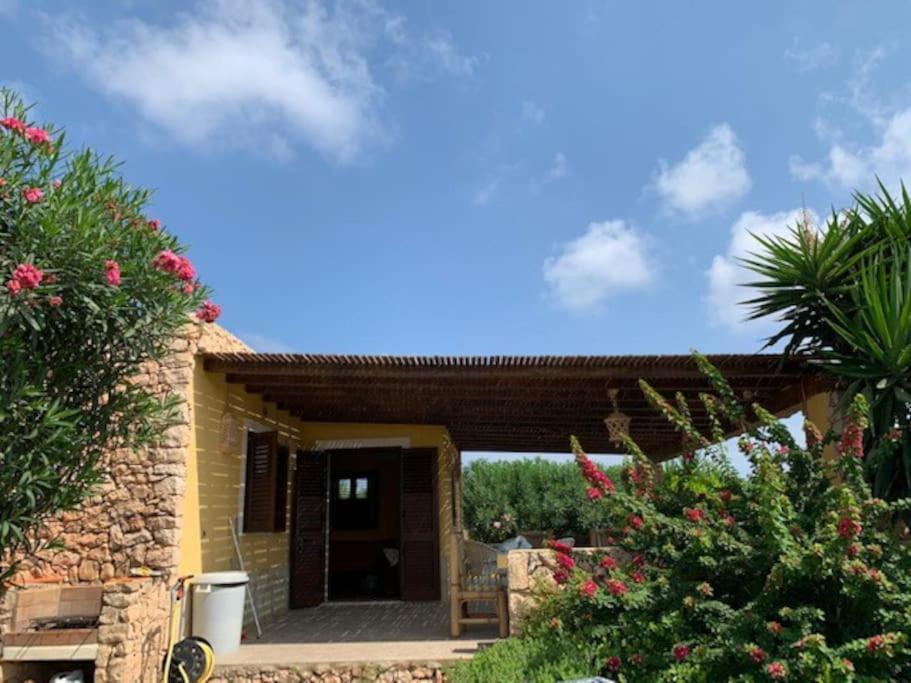 Villa Maveda, Un Dammuso Immerso Nel Verde Лампедуза Екстериор снимка